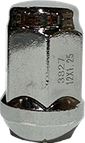 FMSI382725 1