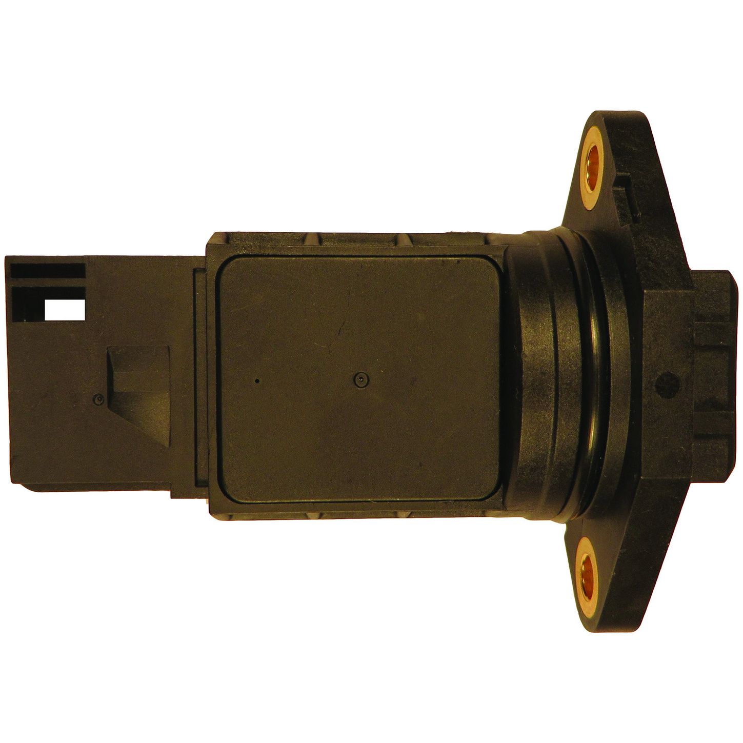 MAF10166 4