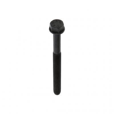 040125OEM 01