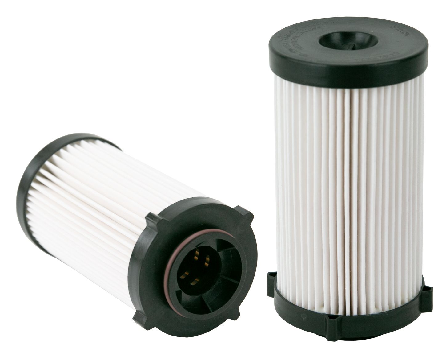 WF10586.jpg
