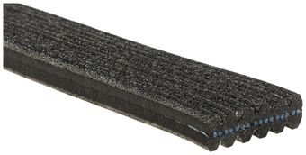 serpentine-beltimage-DK060470-DK060504-DK060519.jpg