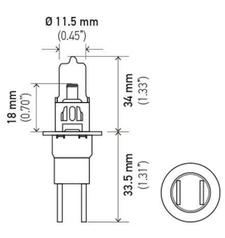 H71071322.PT01.jpg
