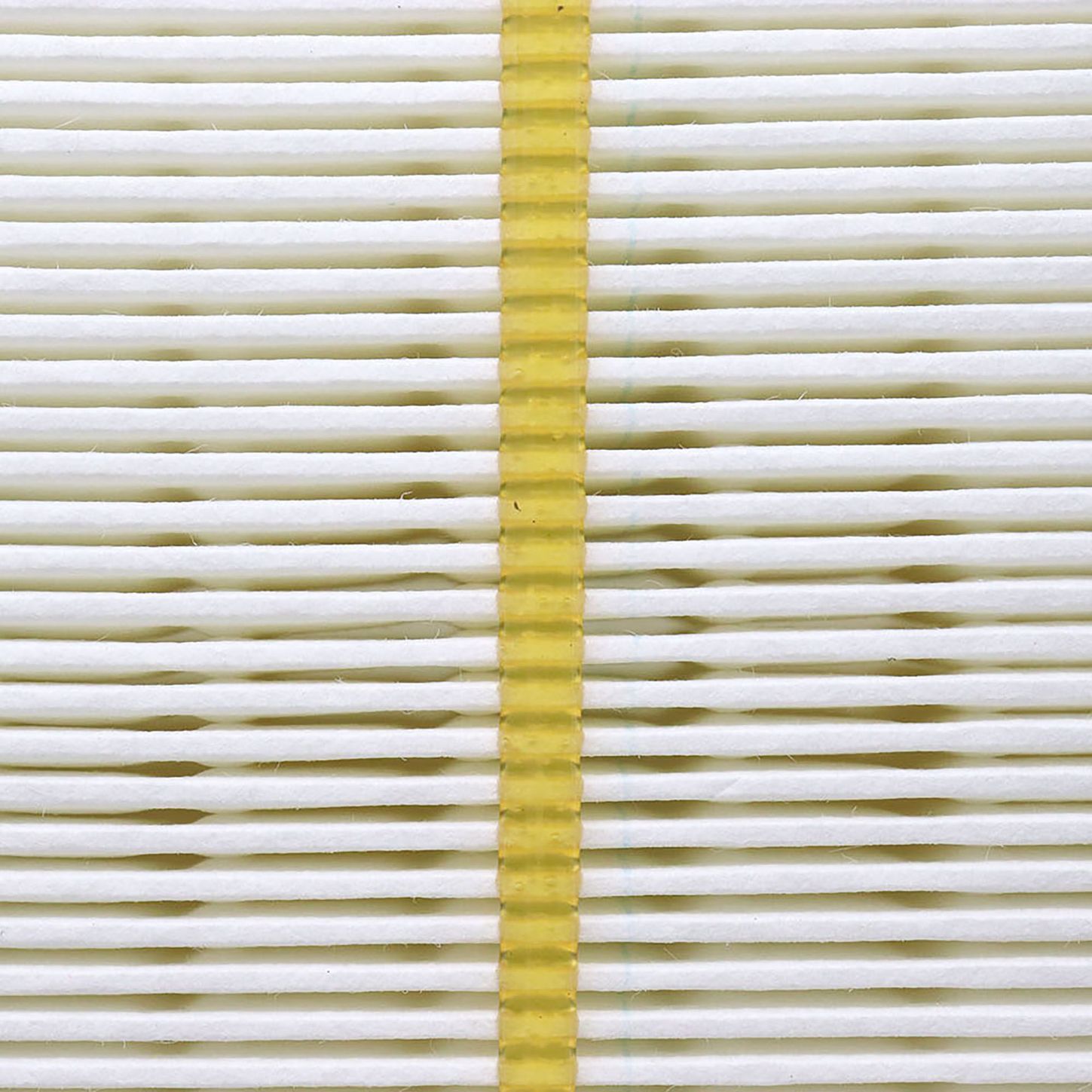 PRIMPAF9166 3