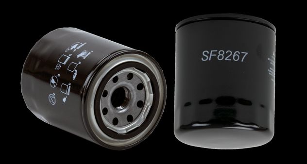 WF8267.jpg