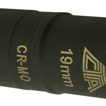 CTAPA164 1