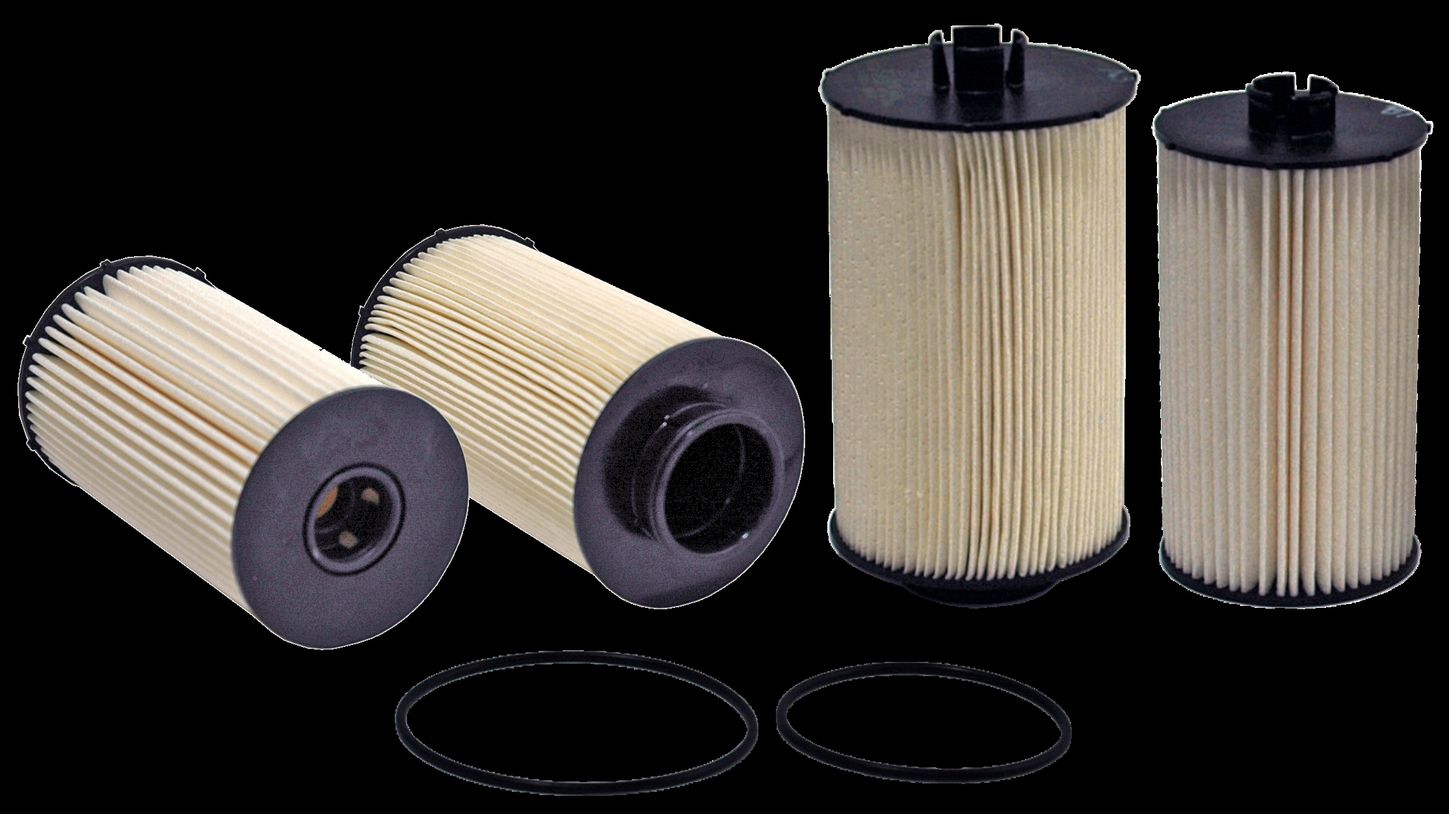 WF10066.jpg