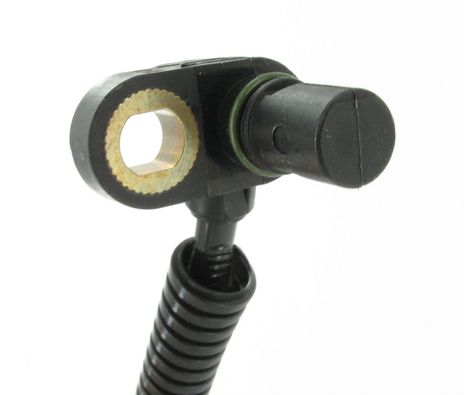 SC508_2.JPG