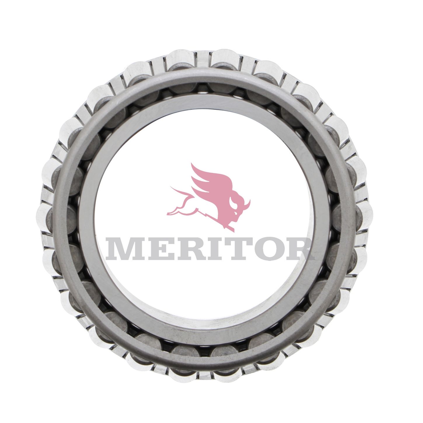 MER567_3.jpg