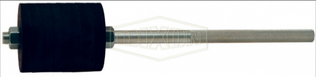 DCM1